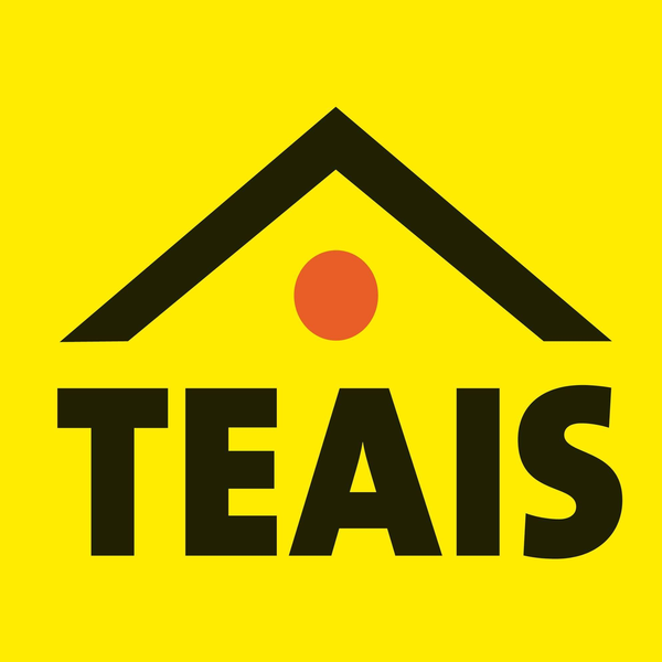 Logo TEAIS - nowa marka na polskim rynku chemii budowlanej