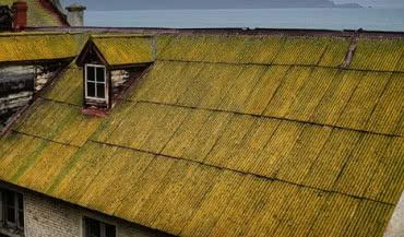 Jakie pokrycie dachowe zamiast azbestu? 