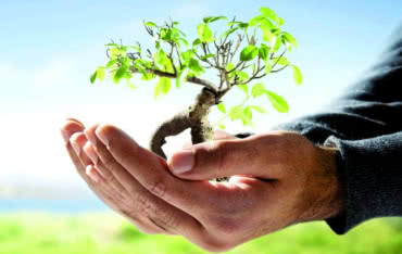 Inteligentne rozwiązania w zielonym budownictwie