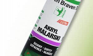 Poddasze bez skazy, czyli jak poprawnie wykonać zabudowę z płyt g-k