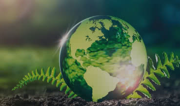 Verano - firma myśląca ekologicznie