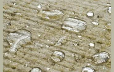 Jak zapobiec powstawaniu pleśni i grzybów na ścianach?