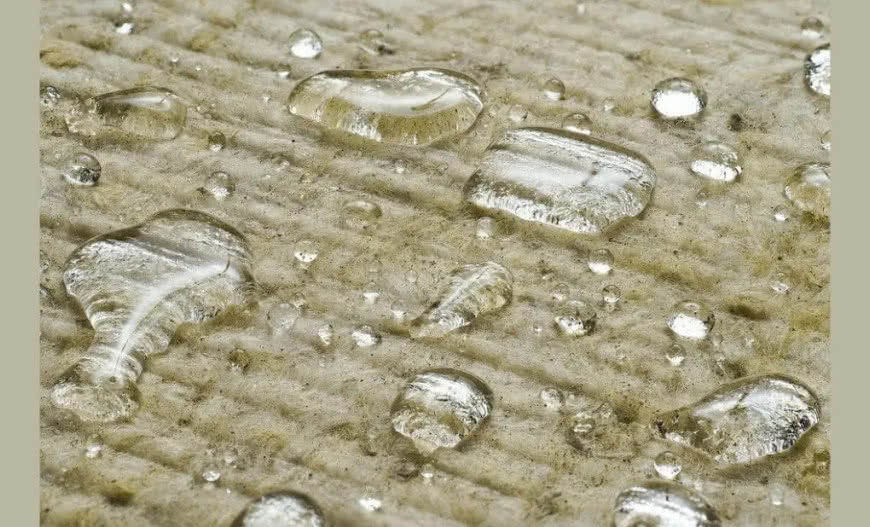 Jak zapobiec powstawaniu pleśni i grzybów na ścianach?