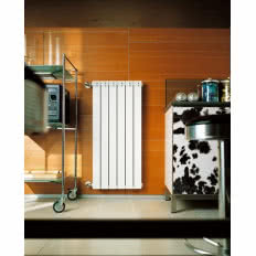 Grzejnik GARDA DUAL
