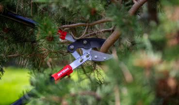 Jak dobrać narzędzia ogrodowe do swoich potrzeb? Poradnik dla początkujących