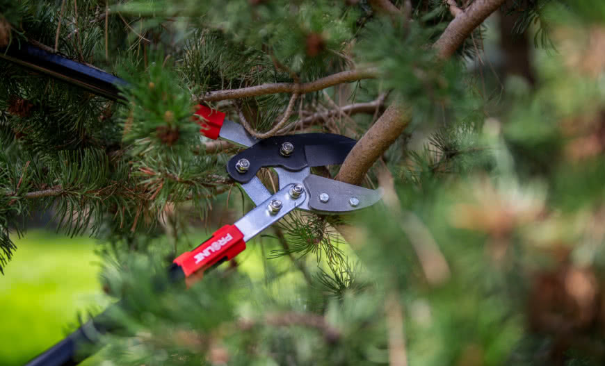 Jak dobrać narzędzia ogrodowe do swoich potrzeb? Poradnik dla początkujących