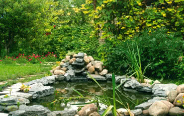 Jak zapobiec zielonej zupie?