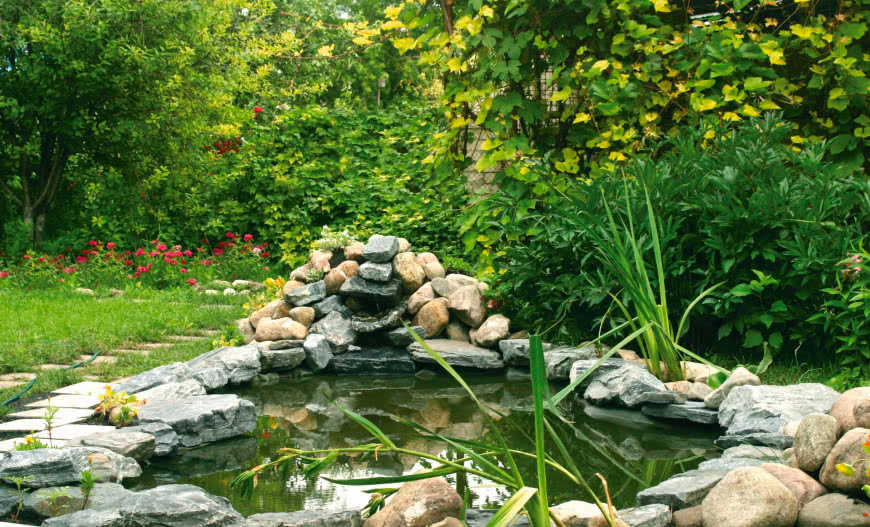 Jak zapobiec zielonej zupie?