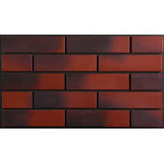 Płytka elewacyjna Dzikie wino (04)