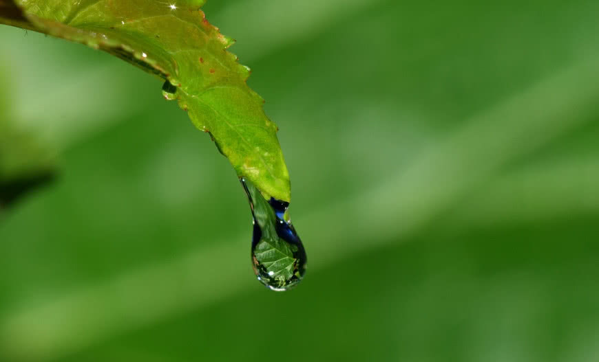 Deszczówka - jak wykorzystać ją w domu i ogrodzie?