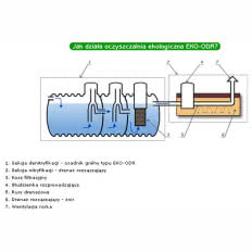 Ekologiczne przydomowe oczyszczalnie ścieków