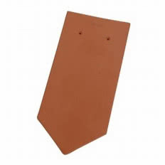 Karpiówka sześciokątna