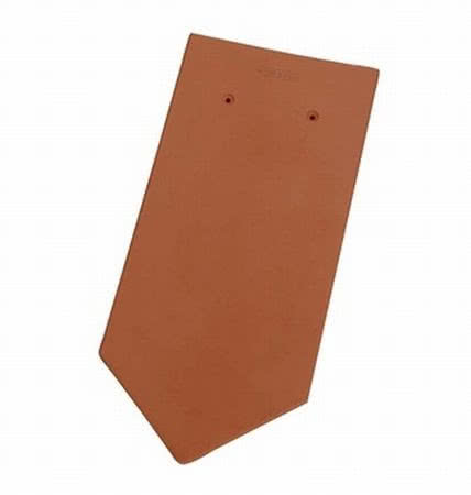 Karpiówka sześciokątna