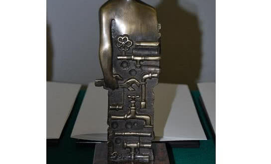 Złoty Instalator dla Vitosol 300-T