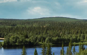 Środowisko naturalne jest ważne dla firmy Plannja