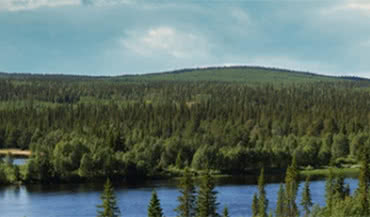 Środowisko naturalne jest ważne dla firmy Plannja