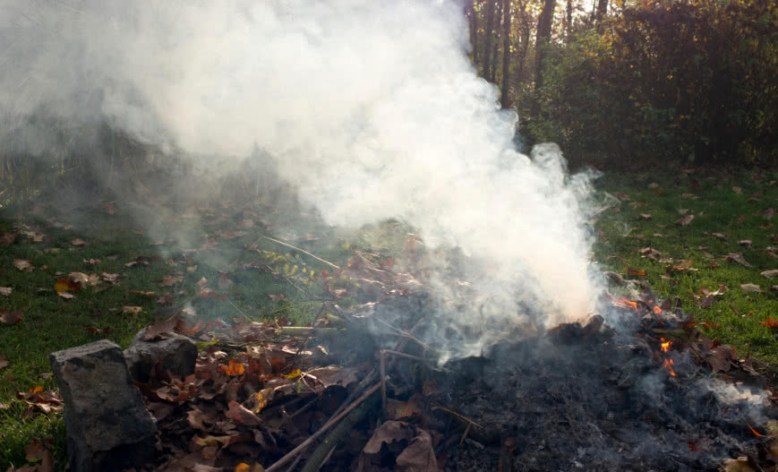 Ognisko w ogrodzie: przyjemność czy kara? Sprawdź, co mówi prawo