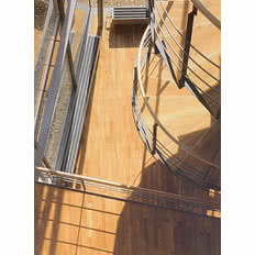 Parkiet lity dębowy