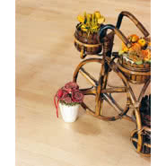 Parkiet lity jaworowy