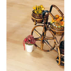 Parkiet lity jaworowy