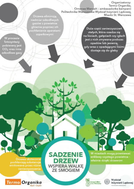 Infografika Sadzenie drzew.