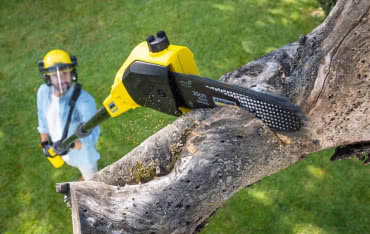 Piła do gałęzi na wysięgniku: jaką elektryczną pilarkę wybrać?