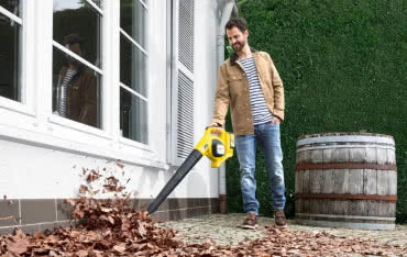 Co robić z opadłymi liśćmi? Jak i czym grabić, gdzie zbierać?