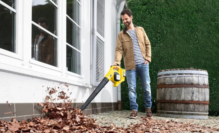 Co robić z opadłymi liśćmi? Jak i czym grabić, gdzie zbierać?