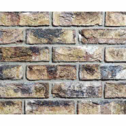 Cegła DF Handvorm BARNSTEEN