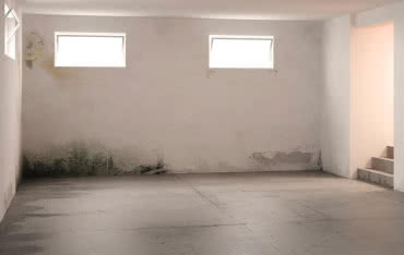 Grzyby w domu - skąd się biorą?