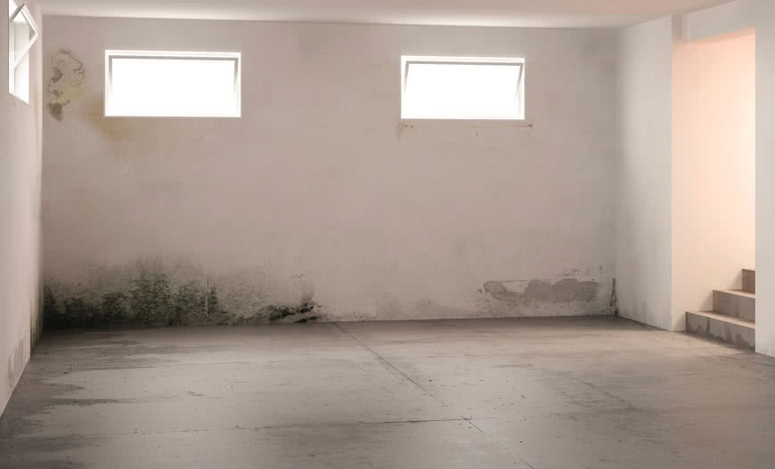 Grzyby w domu - skąd się biorą?