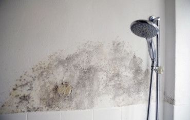 Wilgoć w domu - przyczyny, zapobieganie i likwidacja