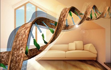 Kompleksowa termoizolacja jako kod genetyczny domu