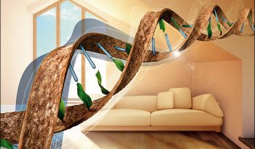 Kompleksowa termoizolacja jako kod genetyczny domu