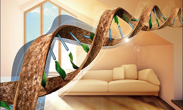 Kompleksowa termoizolacja jako kod genetyczny domu