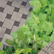 Kostki Libet Decco Monocolor
