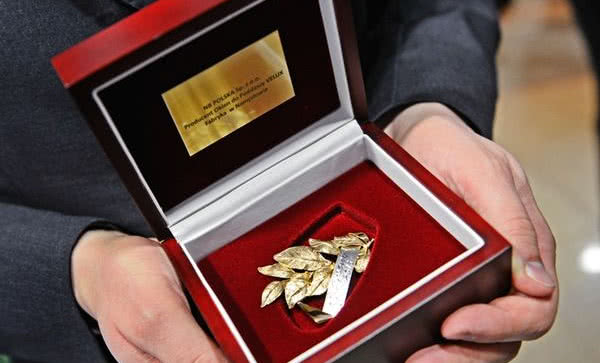 VELUX uhonorowany Platynowym Laurem Umiejętności i Kompetencji