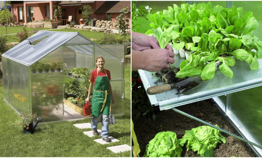 Szklarnia – powody, dla których warto ją mieć