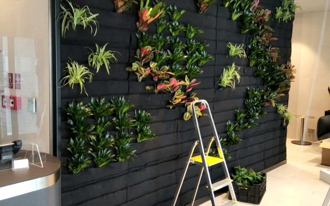 Obsadzanie zielonej ściany roślinami. fot. TWÓJ ŚWIAT - ogrody wertykalne, zielone ściany (https://ogrodwertykalny.pl)