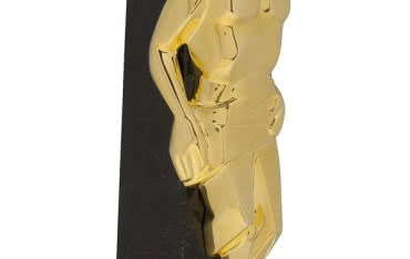 Złoty Herkules 2012 dla Selena SA