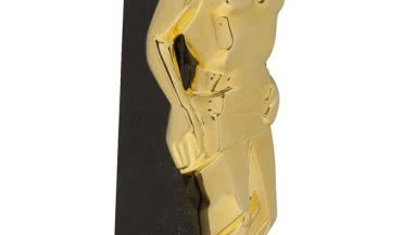 Złoty Herkules 2012 dla Selena SA