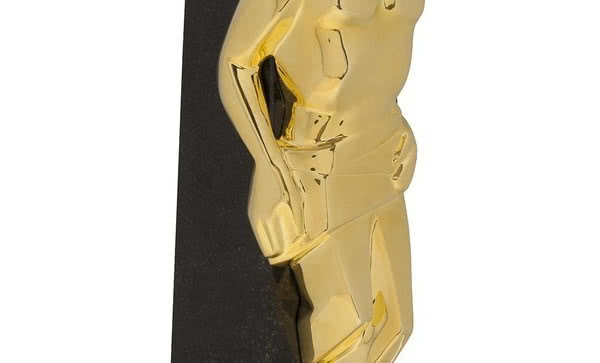 Złoty Herkules 2012 dla Selena SA