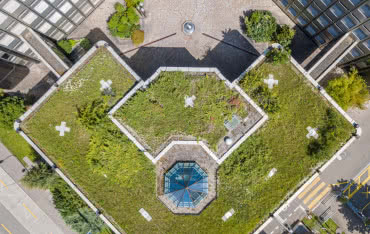 Zielony ogród na dachu – jak stworzyć oazę w centrum miasta?