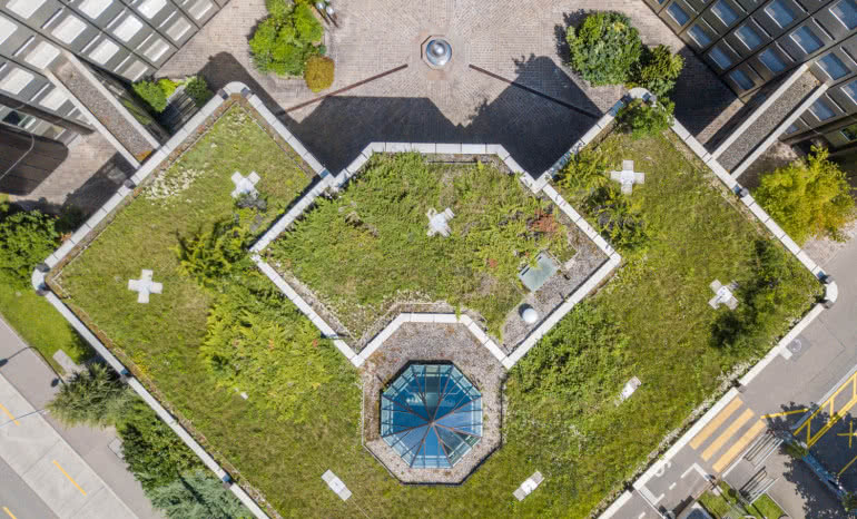 Zielony ogród na dachu – jak stworzyć oazę w centrum miasta?