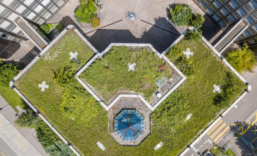 Zielony ogród na dachu – jak stworzyć oazę w centrum miasta?