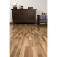 Parkiet Orzech Europejski