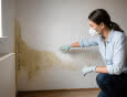 Pleśń na ścianach a zdrowie. Jak skutecznie i trwale usunąć problem z domu?