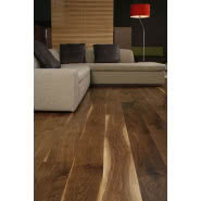 Parkiet Orzech Amerykański