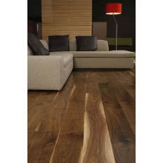 Parkiet Orzech Amerykański