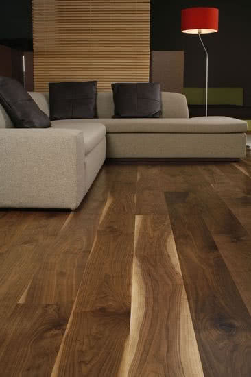 Parkiet Orzech Amerykański